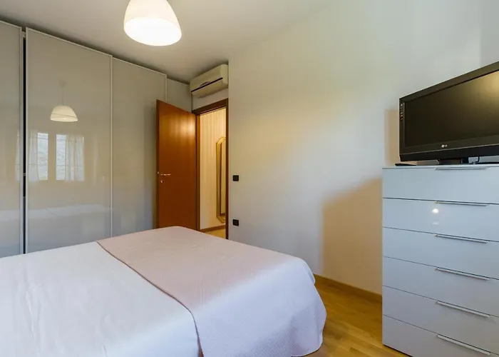 Le Volpi In Citta By Reasy&busy