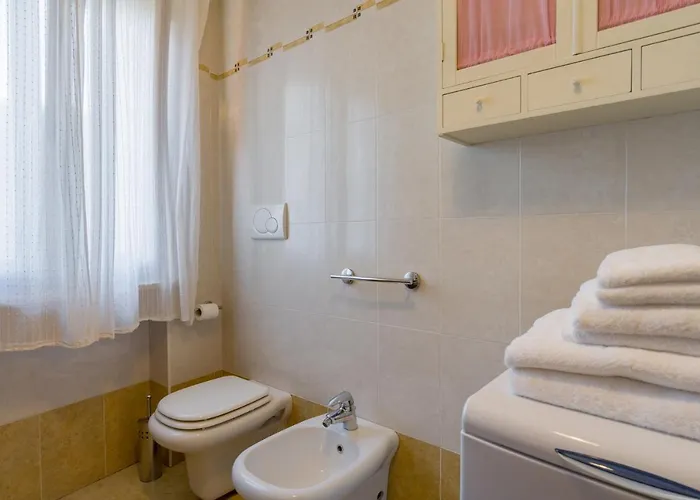 Le Volpi In Citta By Reasy&busy
