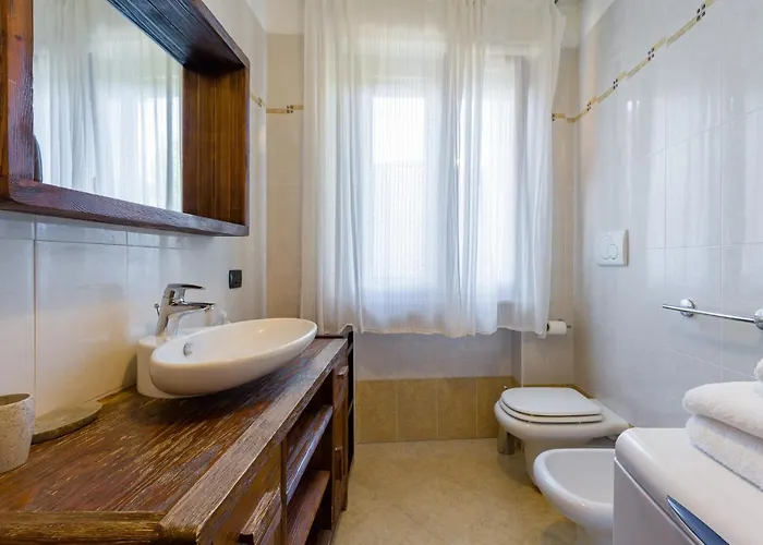Le Volpi In Citta By Reasy&busy